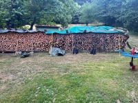 Vogelwiese Eisbaeren 2023